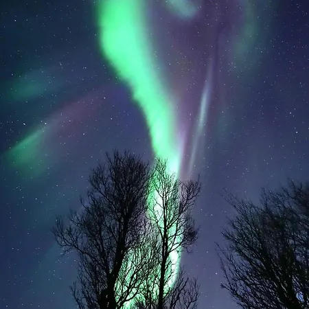 Aa Solgryveien Konukevi